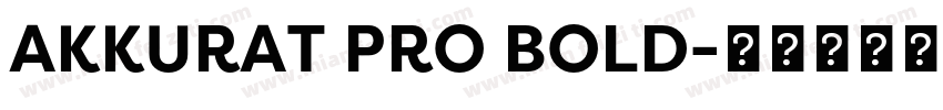 AKKURAT PRO BOLD字体转换